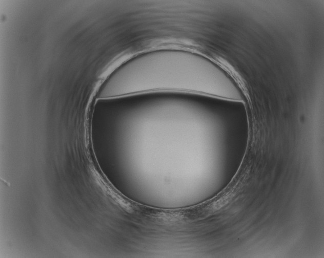 X0000086741384200704130721