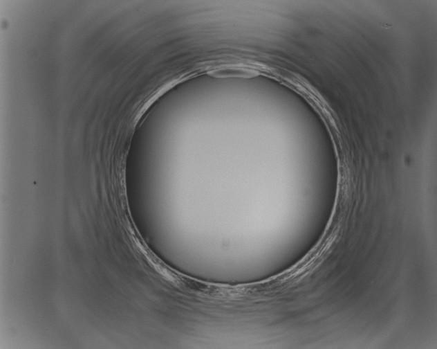 X0000086741385200704130721