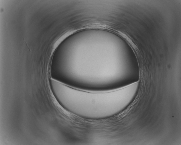 X0000086741387200704130721