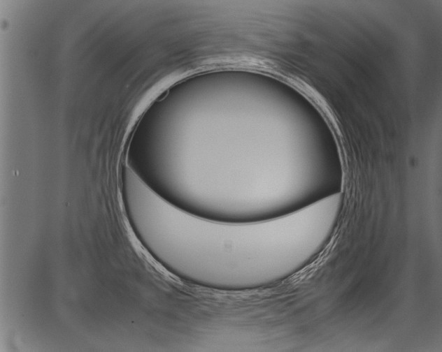 X0000086741389200704130721