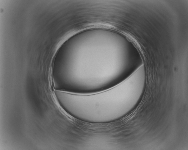 X0000086741391200704130721