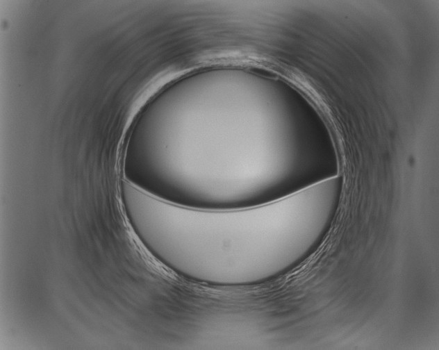 X0000086741392200704130721