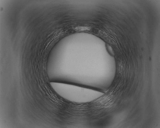 X0000086741393200704130720