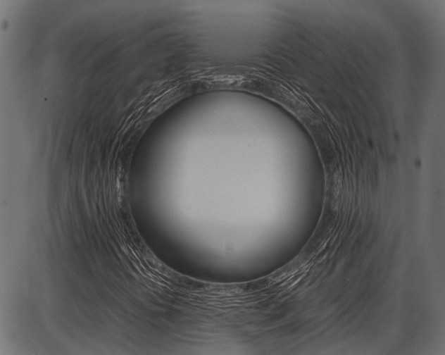 X0000086741394200704130720