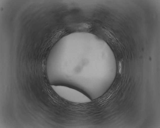 X0000086741395200704130720
