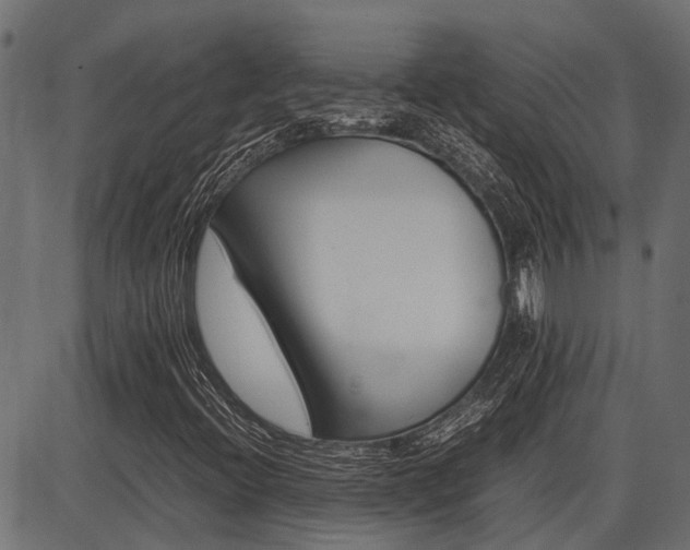 X0000086741396200704130720