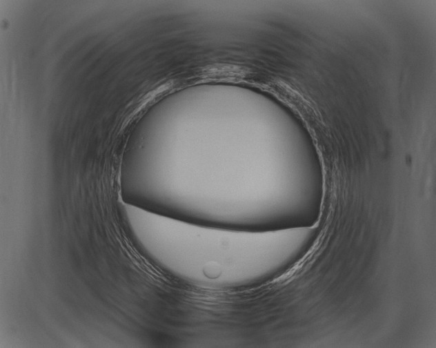 X0000086741401200704130720