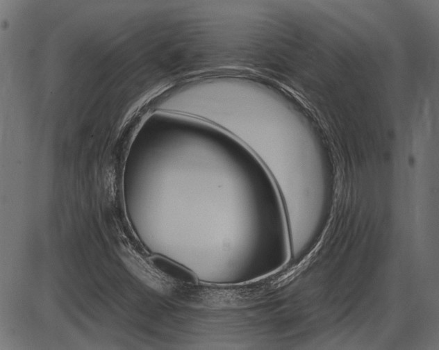 X0000086741402200704130720