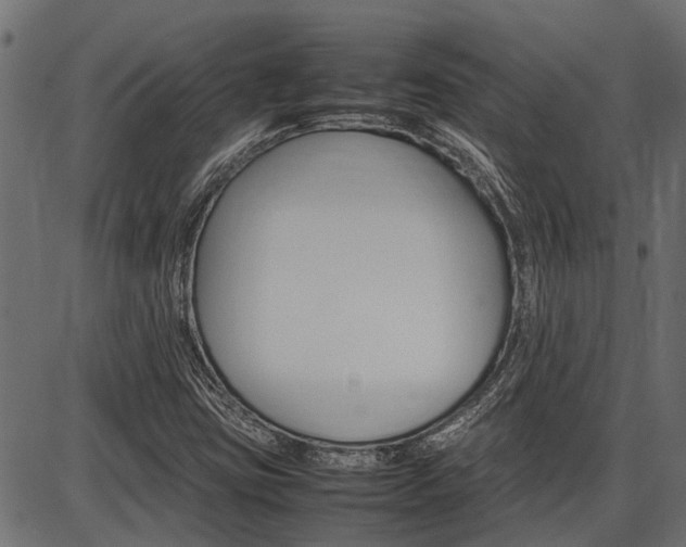X0000086741403200704130720