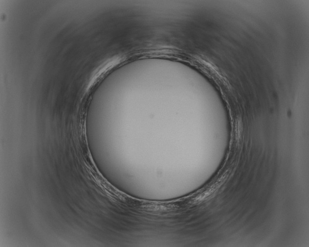X0000086741405200704130720