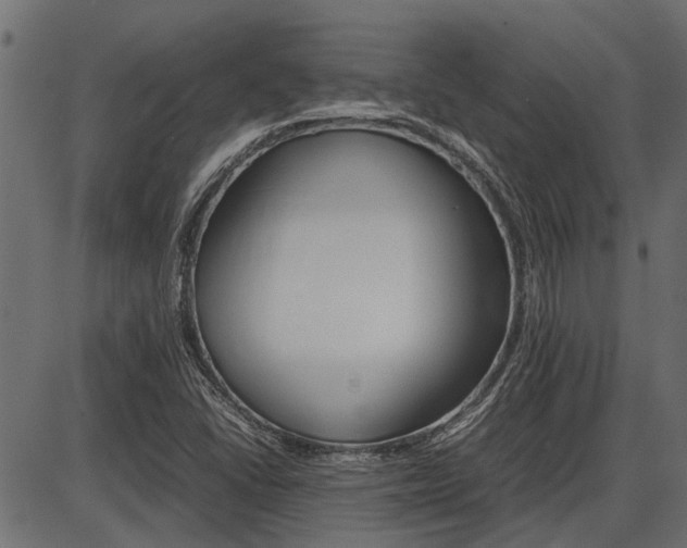 X0000086741406200704130720