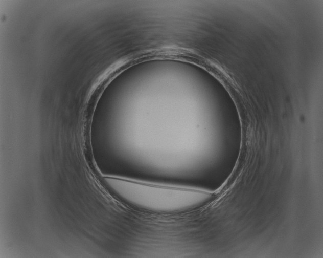 X0000086741410200704130721