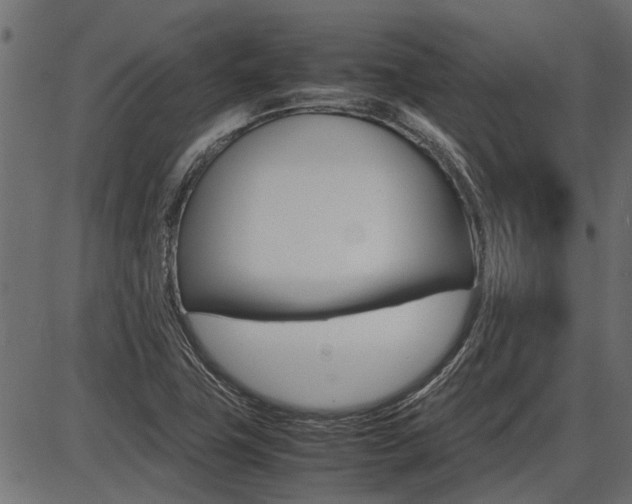 X0000086741411200704130721