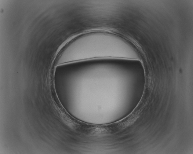 X0000086741412200704130721
