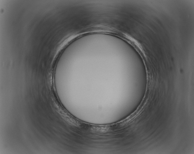 X0000086741415200704130721