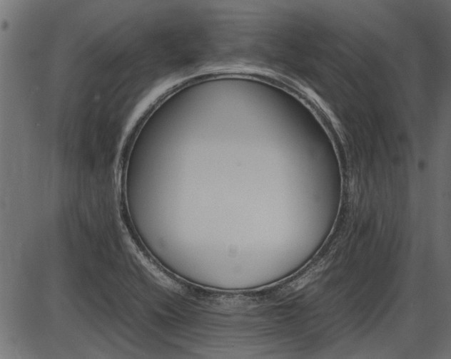 X0000086741416200704130721
