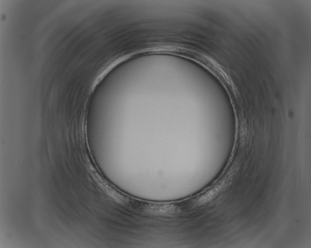 X0000086741417200704130721