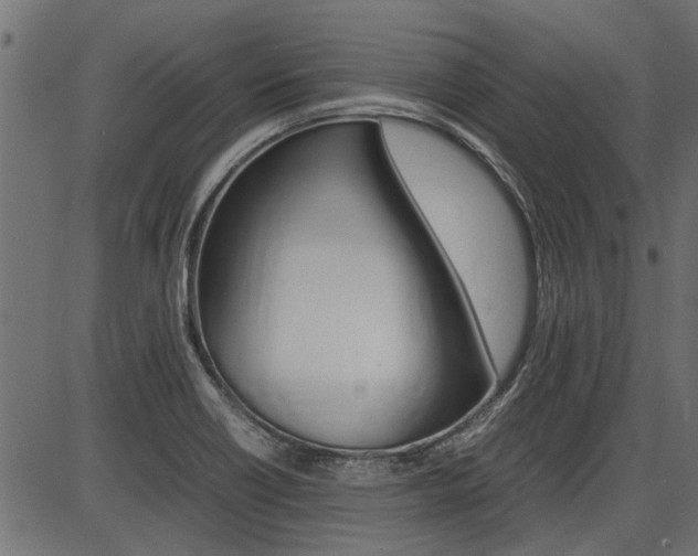 X0000086741418200704130721