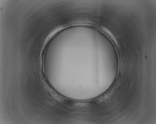 X0000086741419200704130721