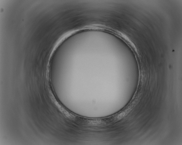 X0000086741421200704130721