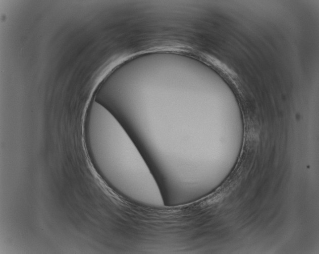 X0000086741423200704130721