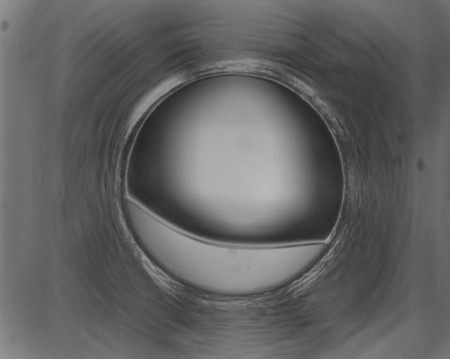 X0000086741426200704130721