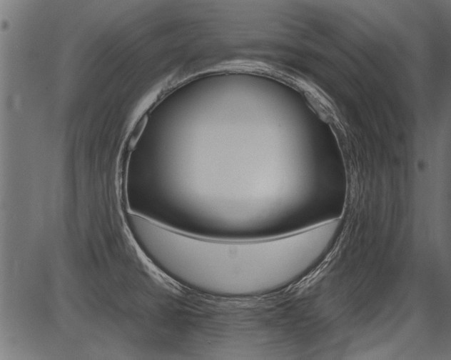X0000086741430200704130721
