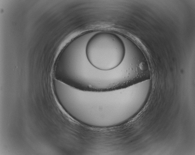 X0000086741432200704130721
