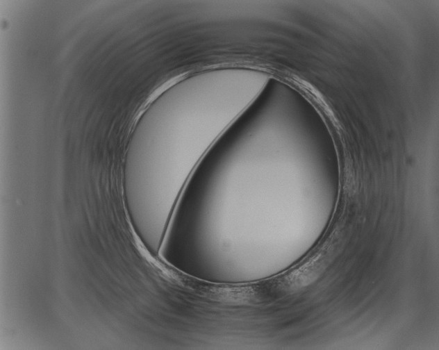 X0000086741433200704130721