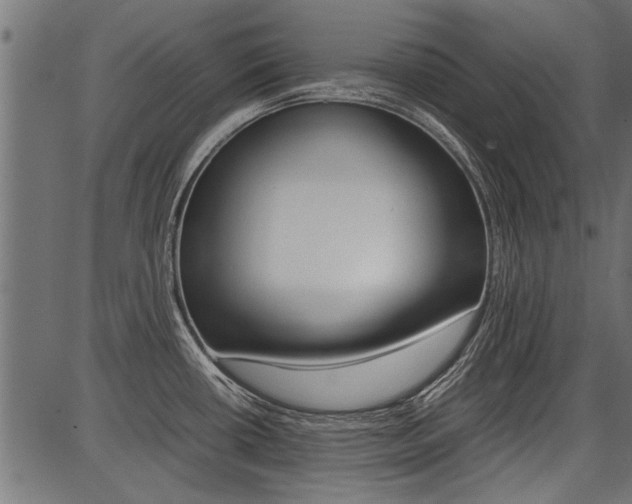 X0000086741434200704130721
