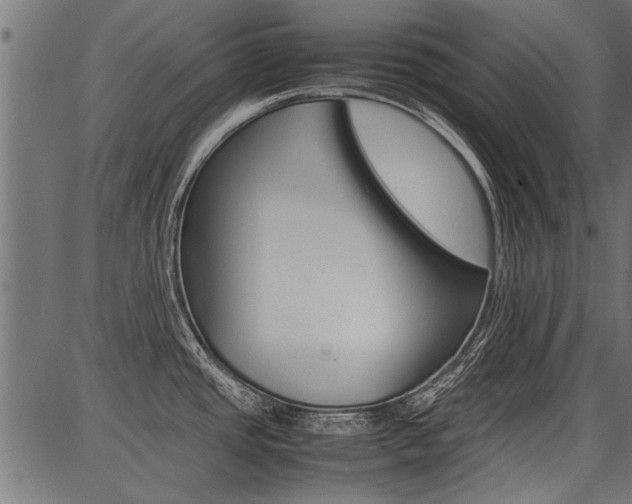 X0000086741437200704130721
