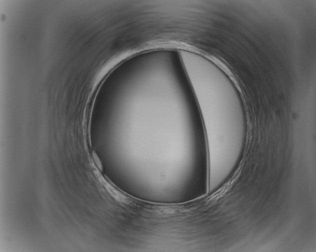 X0000086741438200704130721