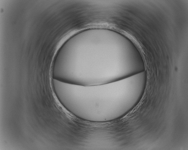X0000086741440200704130721