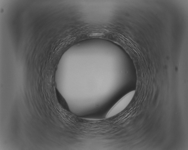 X0000086741441200704130720