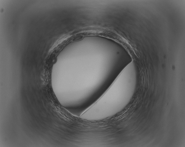 X0000086741448200704130720