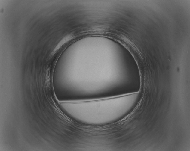 X0000086741450200704130720