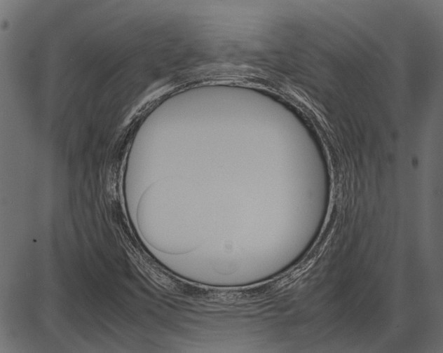 X0000086741451200704130720