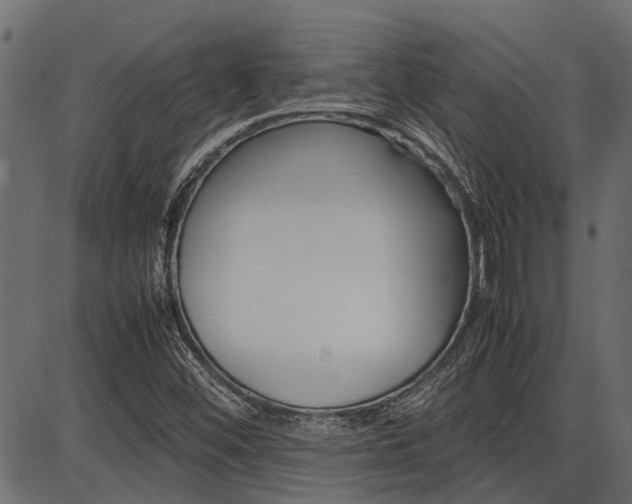 X0000086741452200704130720