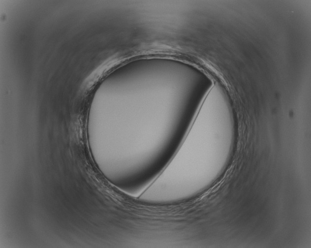 X0000086741455200704130720