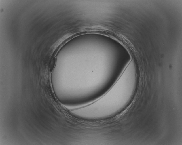 X0000086741457200704130720