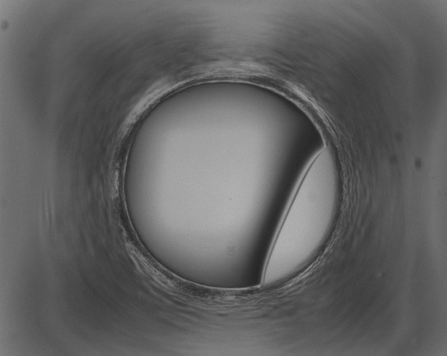 X0000086741459200704130720