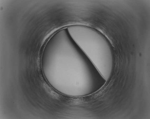 X0000086741460200704130720