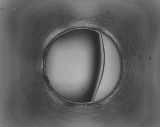 X0000086741461200704130720
