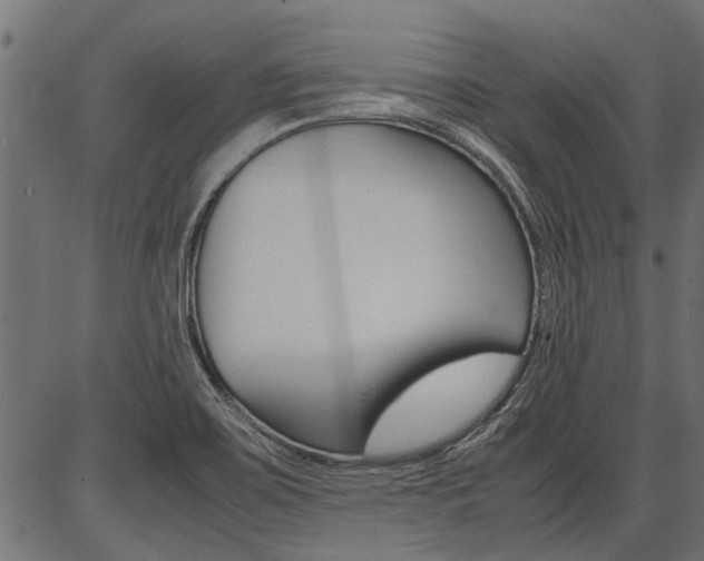 X0000086741467200704130720