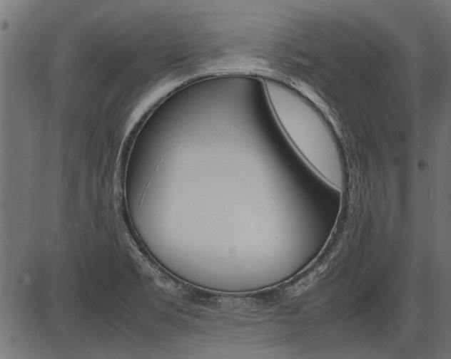 X0000086741469200704130720
