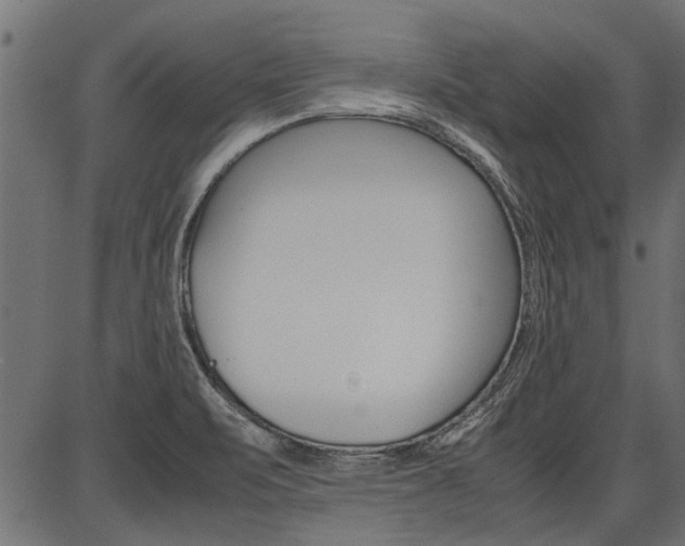 X0000086741471200704130720