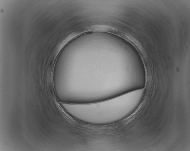 X0000086741473200704130720