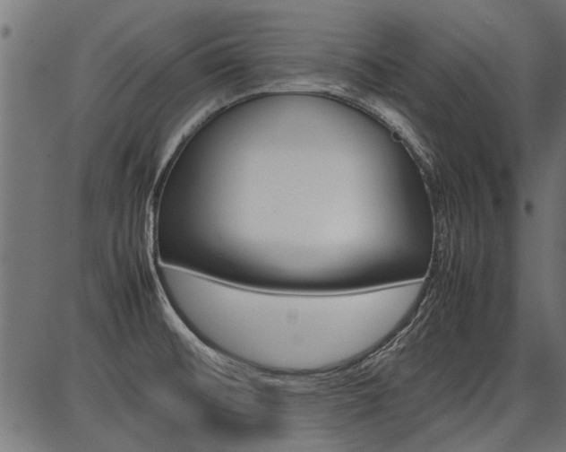 X0000086741476200704130720