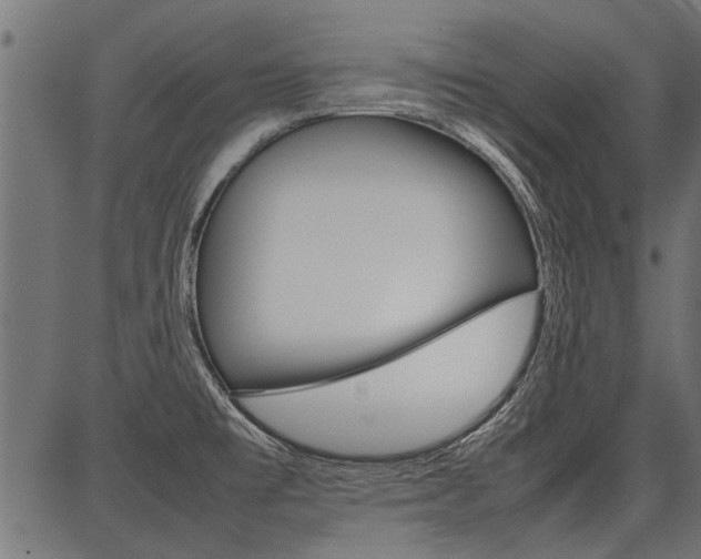 X0000086741477200704130720