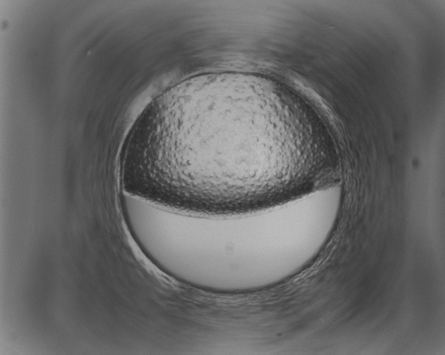 X0000086741479200704130720